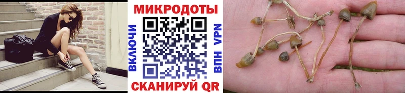 Галлюциногенные грибы MAGIC MUSHROOMS  Нефтегорск 
